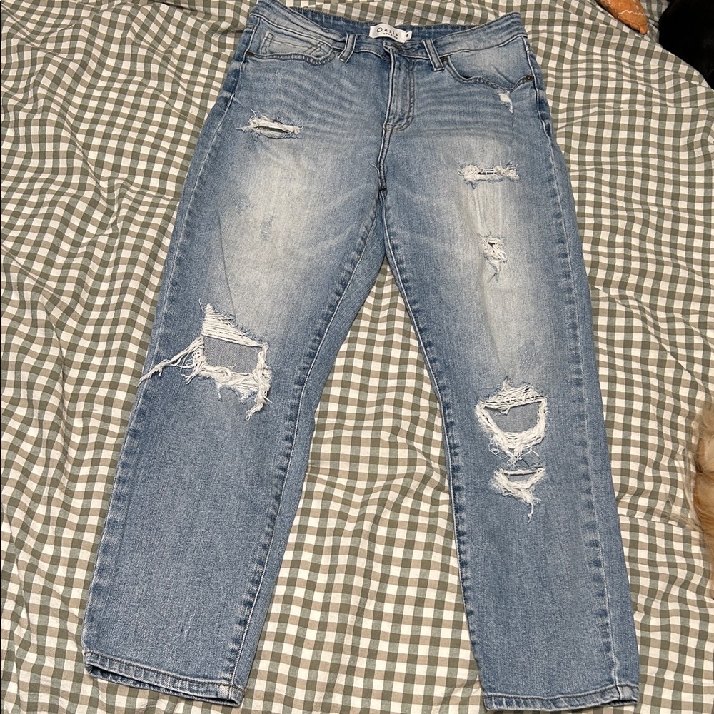 Women’s Distressed Blue Jeans